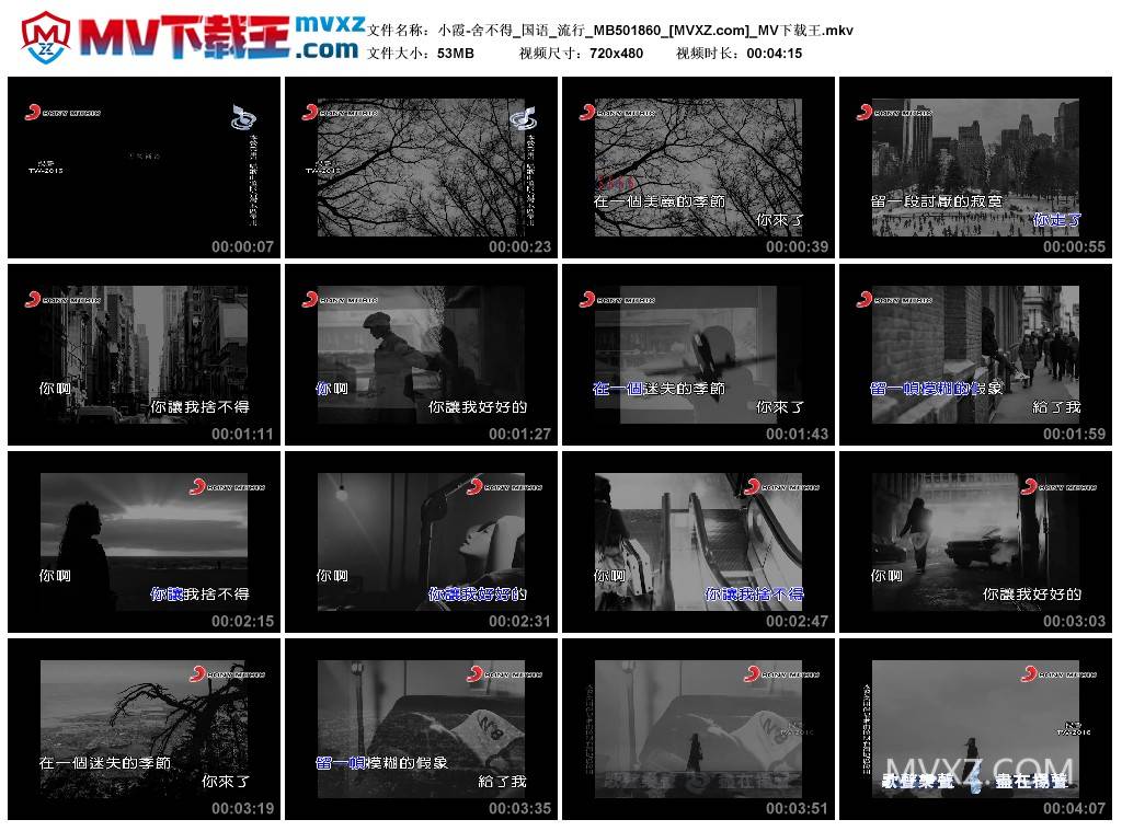 小霞-舍不得_国语_流行_MB501860